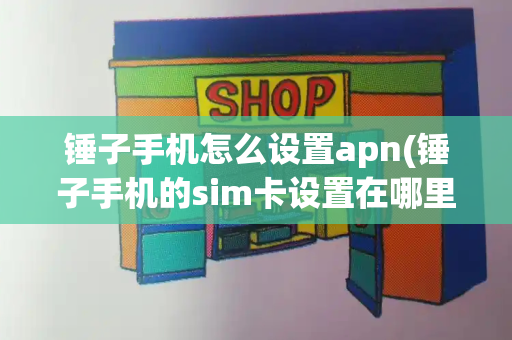 锤子手机怎么设置apn(锤子手机的sim卡设置在哪里)-第1张图片-星选测评