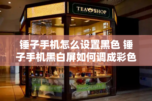 锤子手机怎么设置黑色 锤子手机黑白屏如何调成彩色