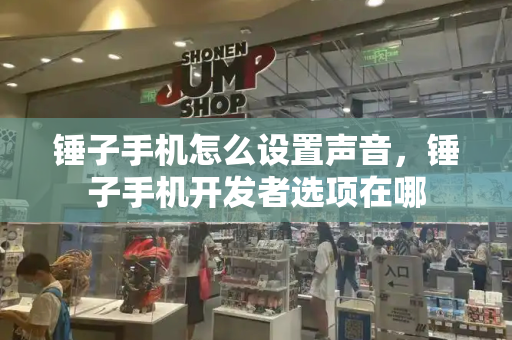 锤子手机怎么设置声音，锤子手机开发者选项在哪-第1张图片-星选测评