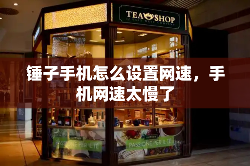 锤子手机怎么设置网速，手机网速太慢了-第1张图片-星选测评