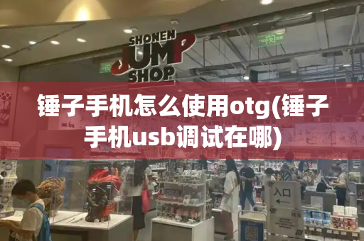 锤子手机怎么使用otg(锤子手机usb调试在哪)