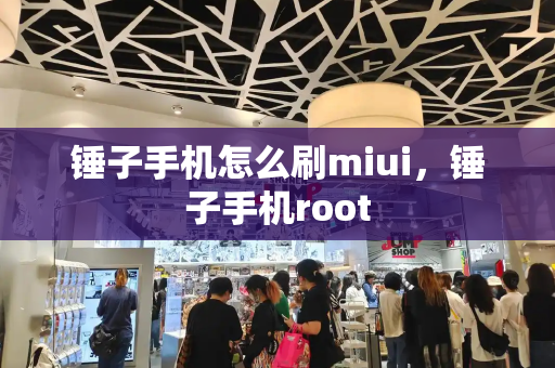 锤子手机怎么刷miui，锤子手机root-第1张图片-星选测评
