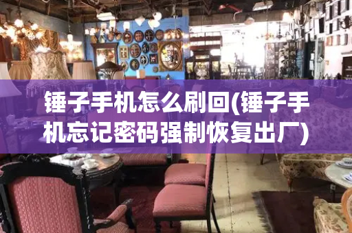 锤子手机怎么刷回(锤子手机忘记密码强制恢复出厂)-第1张图片-星选测评