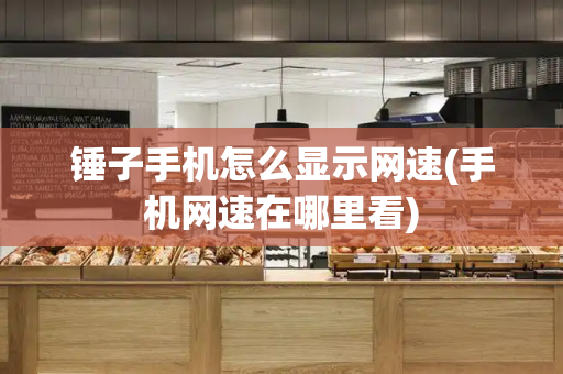 锤子手机怎么显示网速(手机网速在哪里看)-第1张图片-星选测评