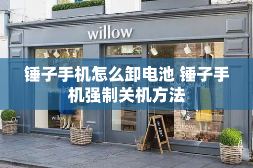 锤子手机怎么卸电池 锤子手机强制关机方法-第1张图片-星选测评