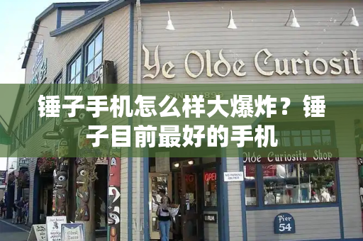 锤子手机怎么样大爆炸？锤子目前最好的手机-第1张图片-星选测评