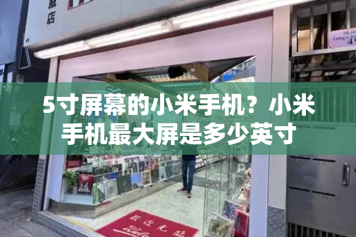 5寸屏幕的小米手机？小米手机最大屏是多少英寸-第1张图片-星选测评