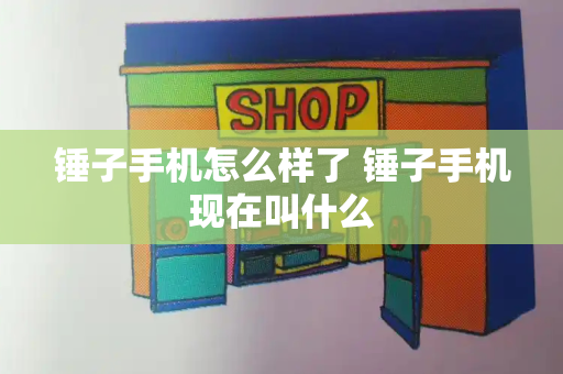 锤子手机怎么样了 锤子手机现在叫什么-第1张图片-星选测评