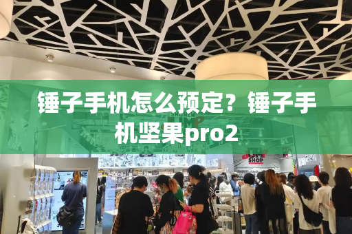锤子手机怎么预定？锤子手机坚果pro2