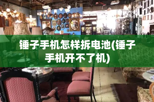 锤子手机怎样拆电池(锤子手机开不了机)-第1张图片-星选测评