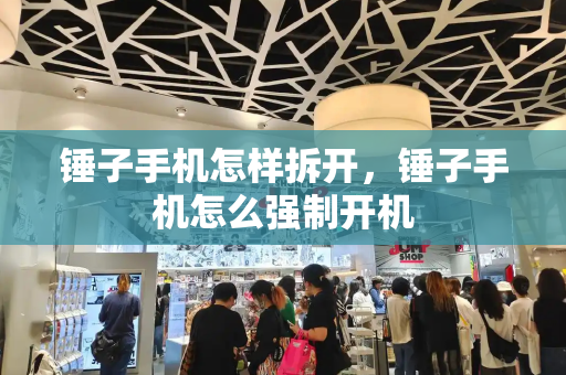 锤子手机怎样拆开，锤子手机怎么强制开机-第1张图片-星选测评