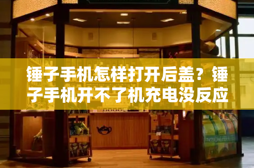 锤子手机怎样打开后盖？锤子手机开不了机充电没反应-第1张图片-星选测评