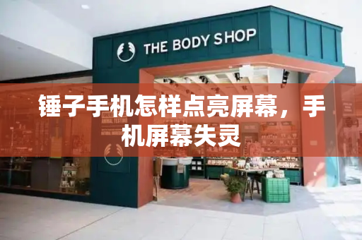 锤子手机怎样点亮屏幕，手机屏幕失灵