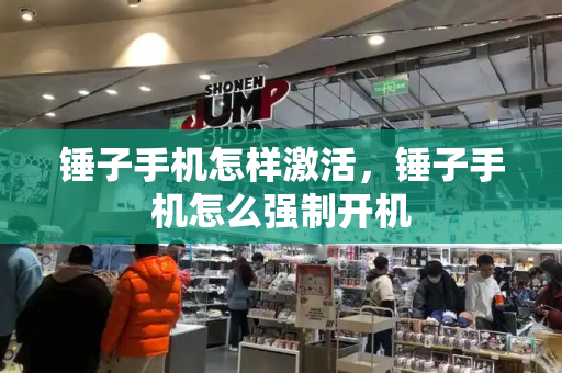 锤子手机怎样激活，锤子手机怎么强制开机-第1张图片-星选测评