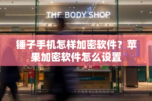 锤子手机怎样加密软件？苹果加密软件怎么设置-第1张图片-星选测评