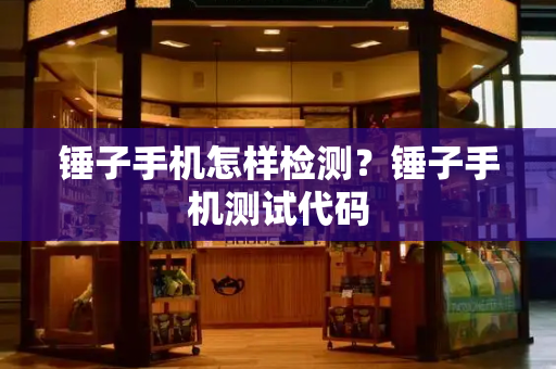 锤子手机怎样检测？锤子手机测试代码-第1张图片-星选测评