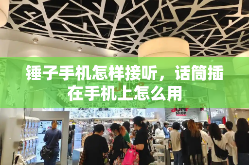 锤子手机怎样接听，话筒插在手机上怎么用-第1张图片-星选测评