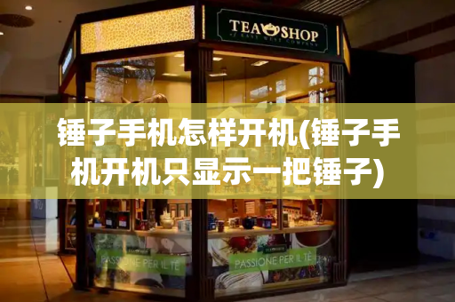 锤子手机怎样开机(锤子手机开机只显示一把锤子)-第1张图片-星选测评