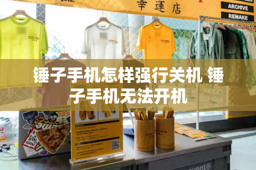 锤子手机怎样强行关机 锤子手机无法开机-第1张图片-星选测评