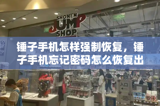 锤子手机怎样强制恢复，锤子手机忘记密码怎么恢复出厂设置-第1张图片-星选测评