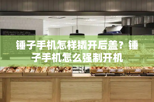 锤子手机怎样撬开后盖？锤子手机怎么强制开机-第1张图片-星选测评