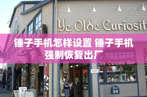 锤子手机怎样设置 锤子手机强制恢复出厂-第1张图片-星选测评