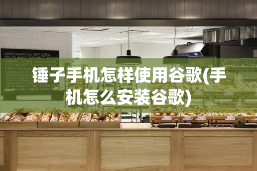 锤子手机怎样使用谷歌(手机怎么安装谷歌)-第1张图片-星选测评