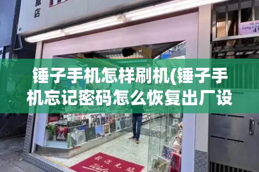 锤子手机怎样刷机(锤子手机忘记密码怎么恢复出厂设置)-第1张图片-星选测评
