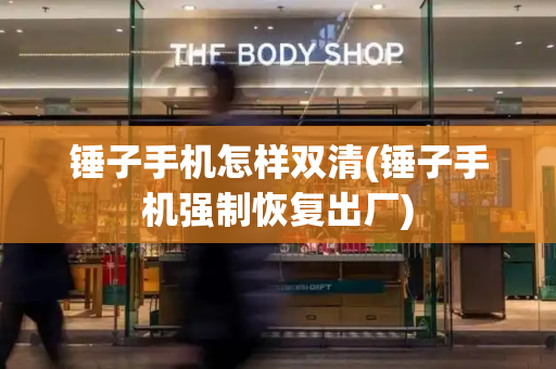 锤子手机怎样双清(锤子手机强制恢复出厂)