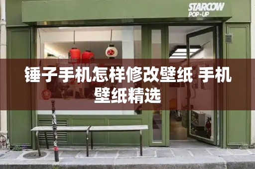 锤子手机怎样修改壁纸 手机壁纸精选-第1张图片-星选测评