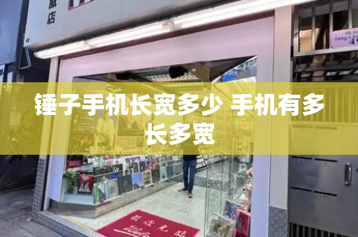 锤子手机长宽多少 手机有多长多宽-第1张图片-星选测评