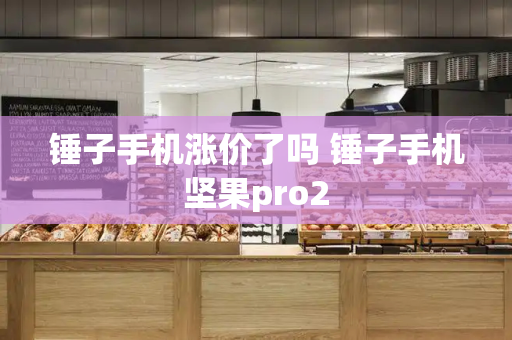 锤子手机涨价了吗 锤子手机坚果pro2