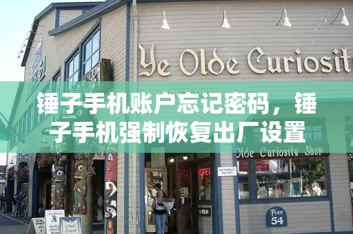 锤子手机账户忘记密码，锤子手机强制恢复出厂设置-第1张图片-星选测评