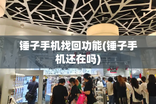 锤子手机找回功能(锤子手机还在吗)-第1张图片-星选测评