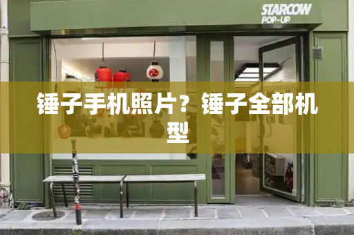 锤子手机照片？锤子全部机型