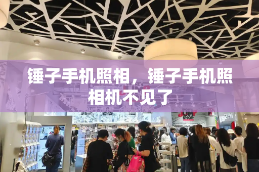 锤子手机照相，锤子手机照相机不见了-第1张图片-星选测评