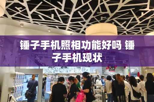 锤子手机照相功能好吗 锤子手机现状-第1张图片-星选测评