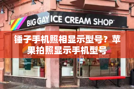 锤子手机照相显示型号？苹果拍照显示手机型号