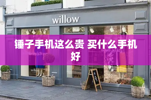 锤子手机这么贵 买什么手机好-第1张图片-星选测评