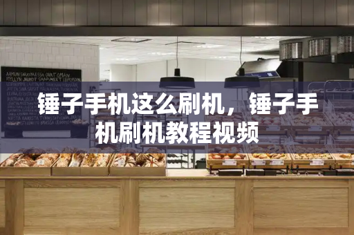 锤子手机这么刷机，锤子手机刷机教程视频-第1张图片-星选测评