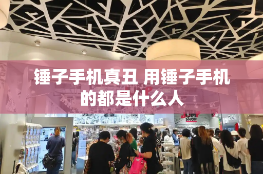 锤子手机真丑 用锤子手机的都是什么人