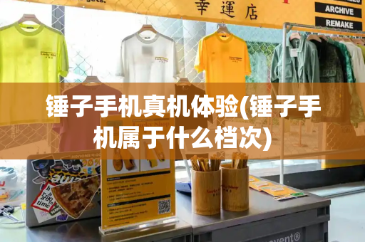 锤子手机真机体验(锤子手机属于什么档次)-第1张图片-星选测评