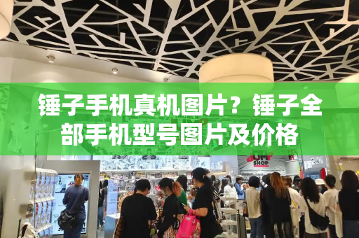 锤子手机真机图片？锤子全部手机型号图片及价格