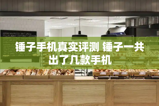 锤子手机真实评测 锤子一共出了几款手机-第1张图片-星选测评