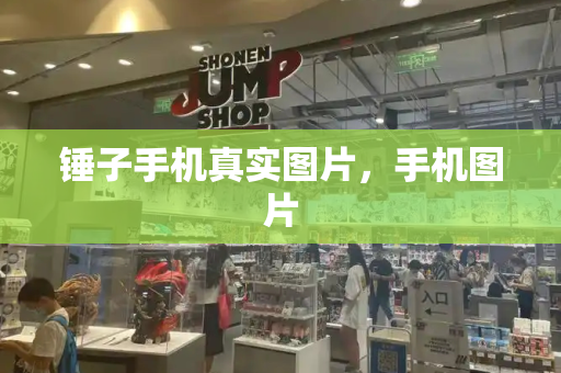 锤子手机真实图片，手机图片