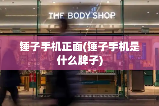 锤子手机正面(锤子手机是什么牌子)-第1张图片-星选测评
