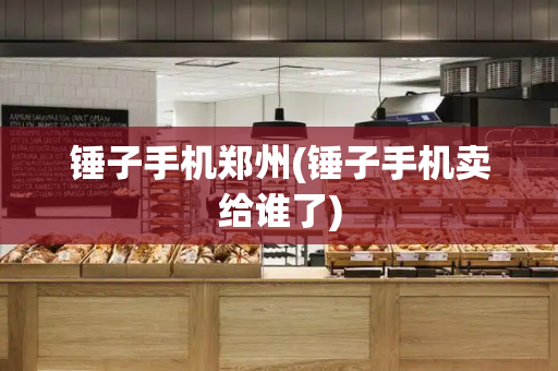 锤子手机郑州(锤子手机卖给谁了)-第1张图片-星选测评