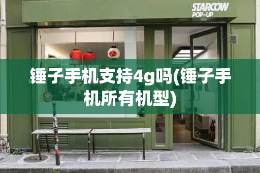 锤子手机支持4g吗(锤子手机所有机型)