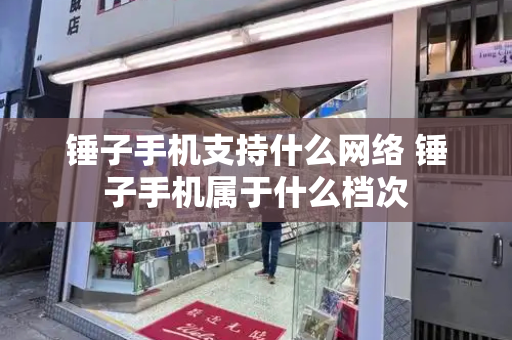 锤子手机支持什么网络 锤子手机属于什么档次-第1张图片-星选测评