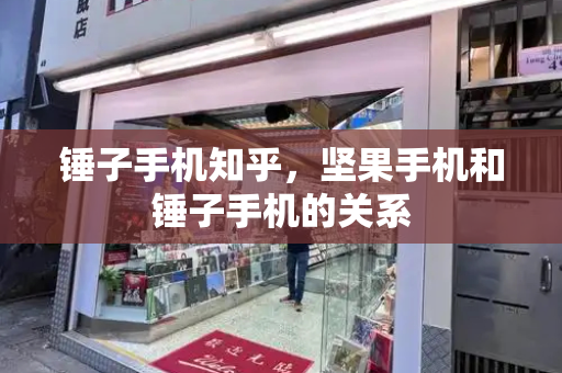 锤子手机知乎，坚果手机和锤子手机的关系-第1张图片-星选测评